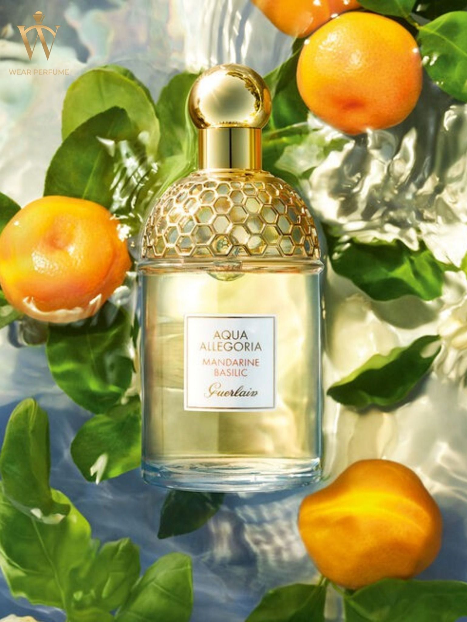  Guerlain Aqua Allegoria Mandarine Basilic 