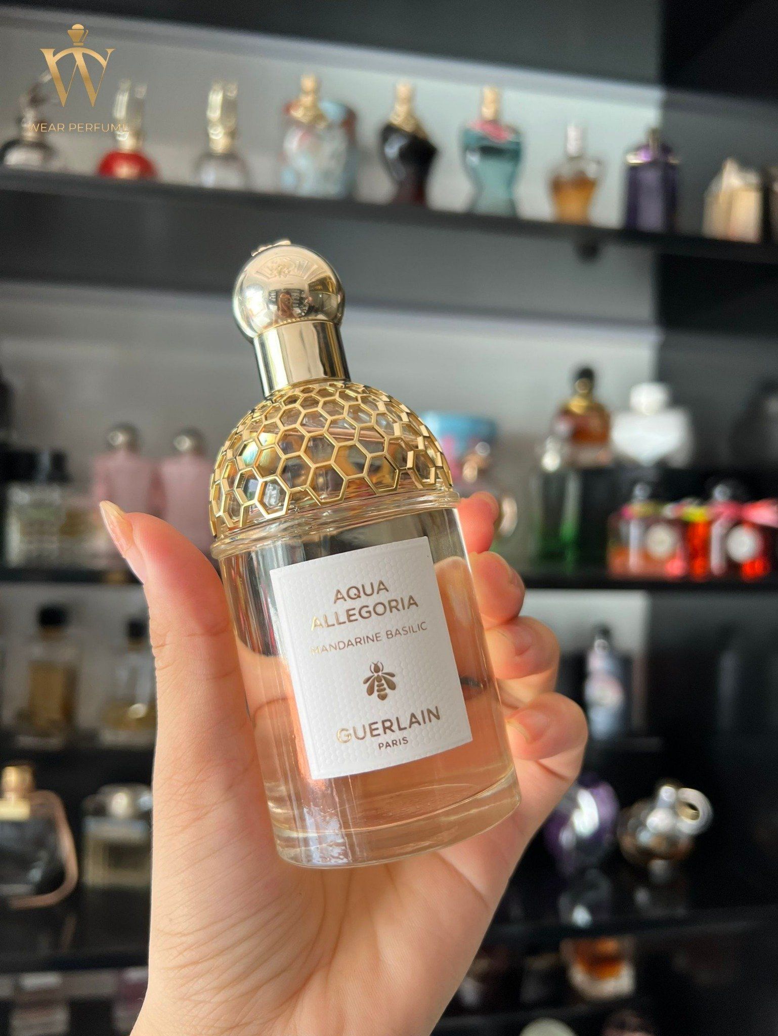  Guerlain Aqua Allegoria Mandarine Basilic 