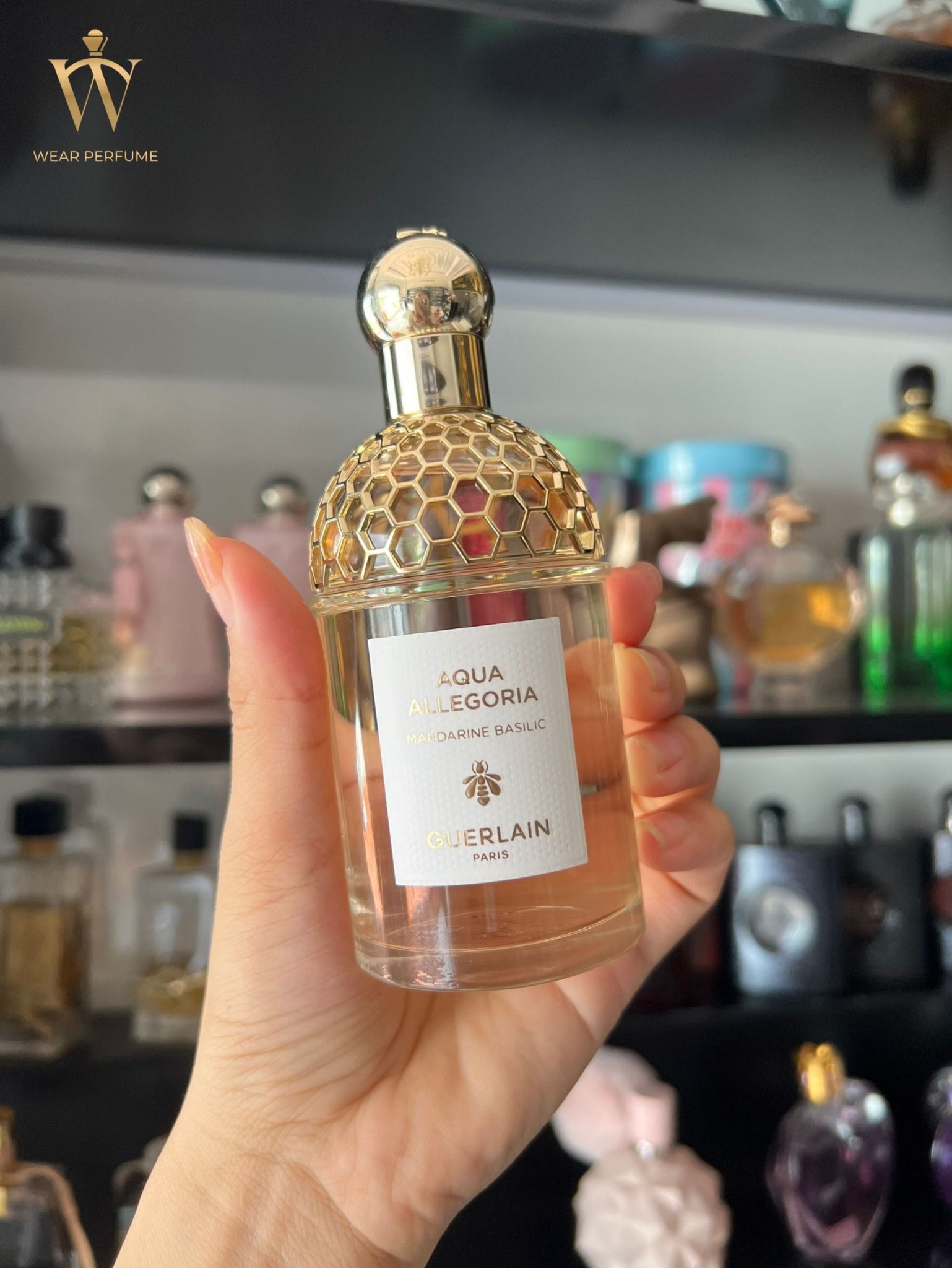  Guerlain Aqua Allegoria Mandarine Basilic 