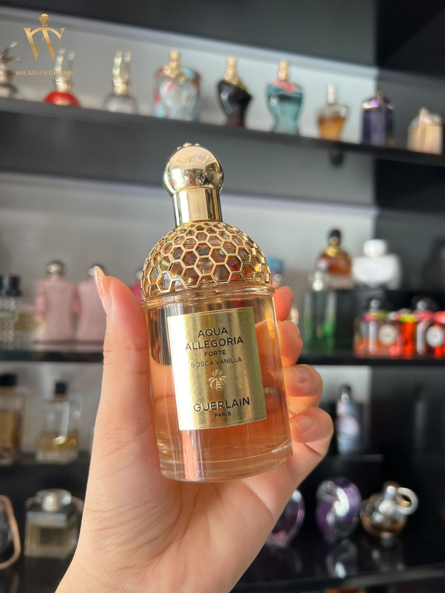  Guerlain Aqua Allegoria Forte Bosca Vanilla 