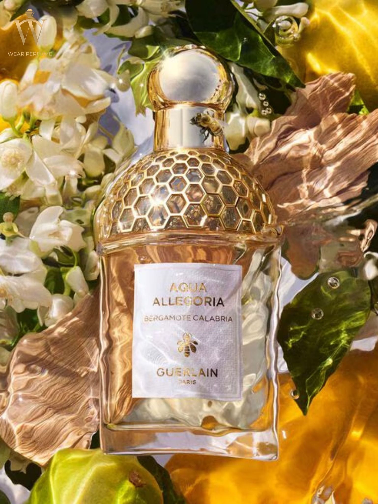  Guerlain Aqua Allegoria Bergamote Calabria 