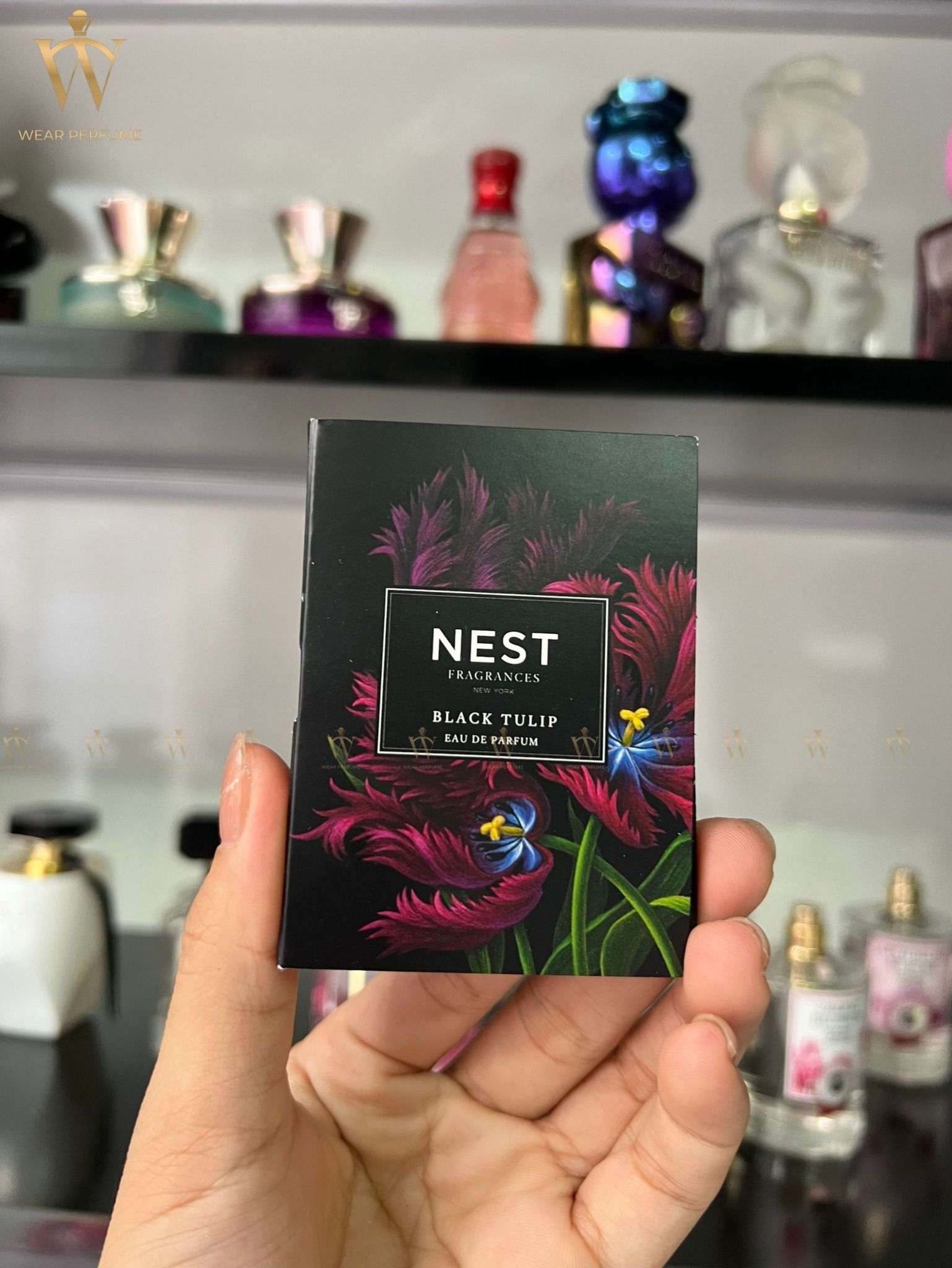  Vial Nest Black Tulip EDP 