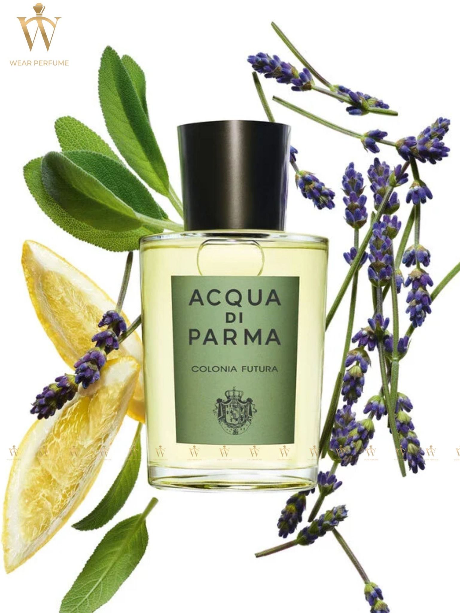  Acqua Di Parma Colonia Futura 