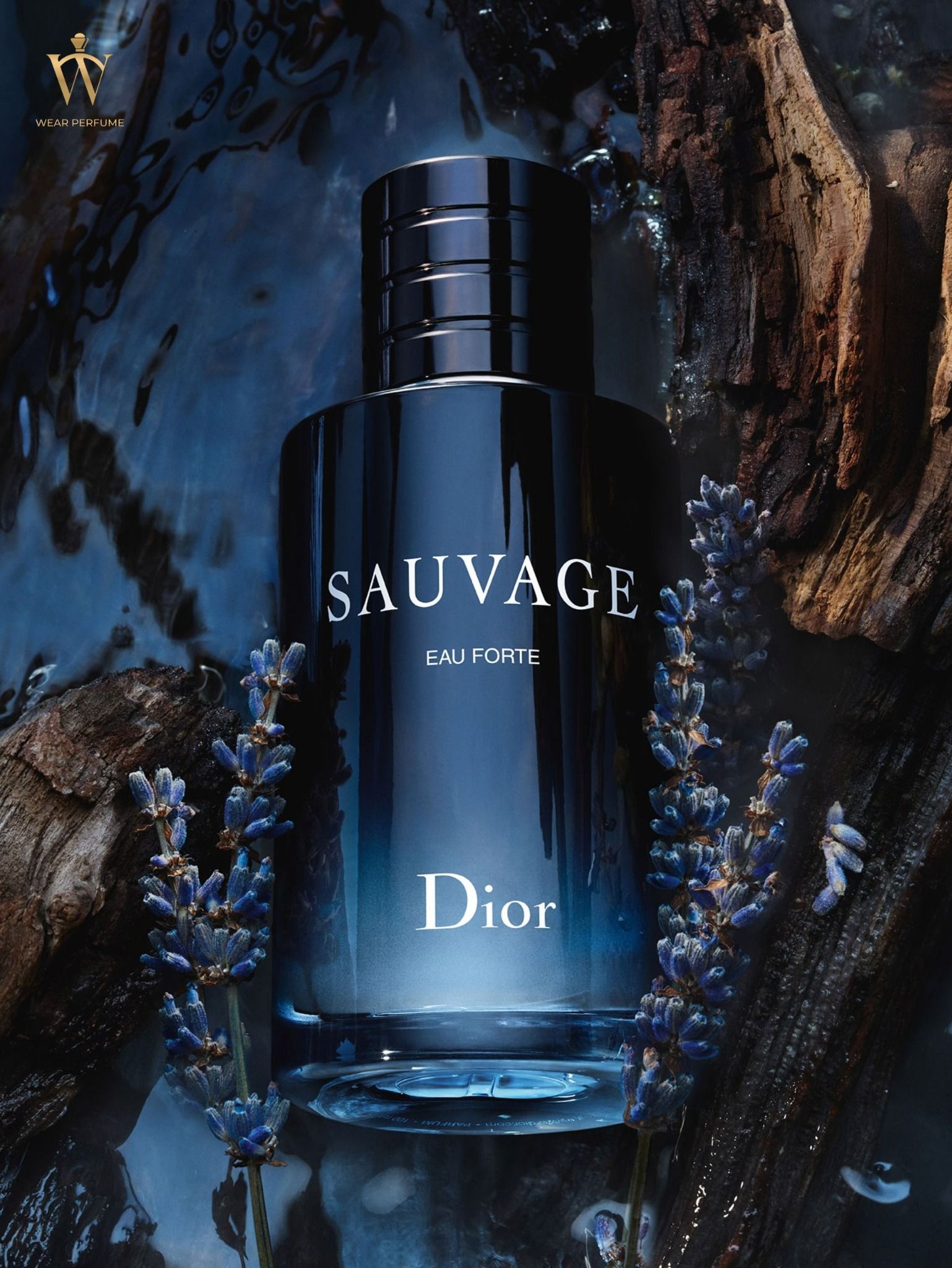  Dior Sauvage Eau Forte Parfum 