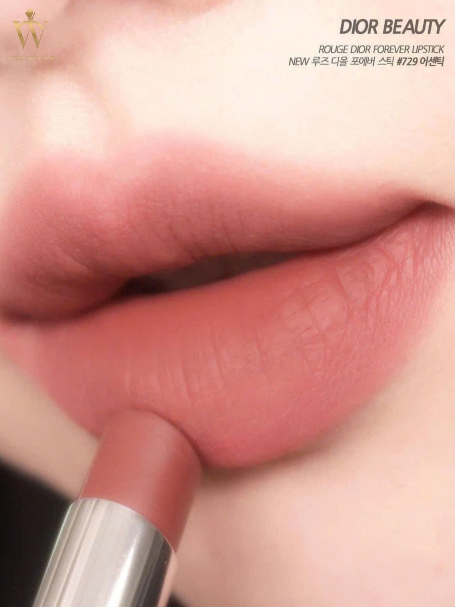  Son Dior Rouge Forever Transfer Proof Lipstick 729 – Màu Hồng Nâu Đất 