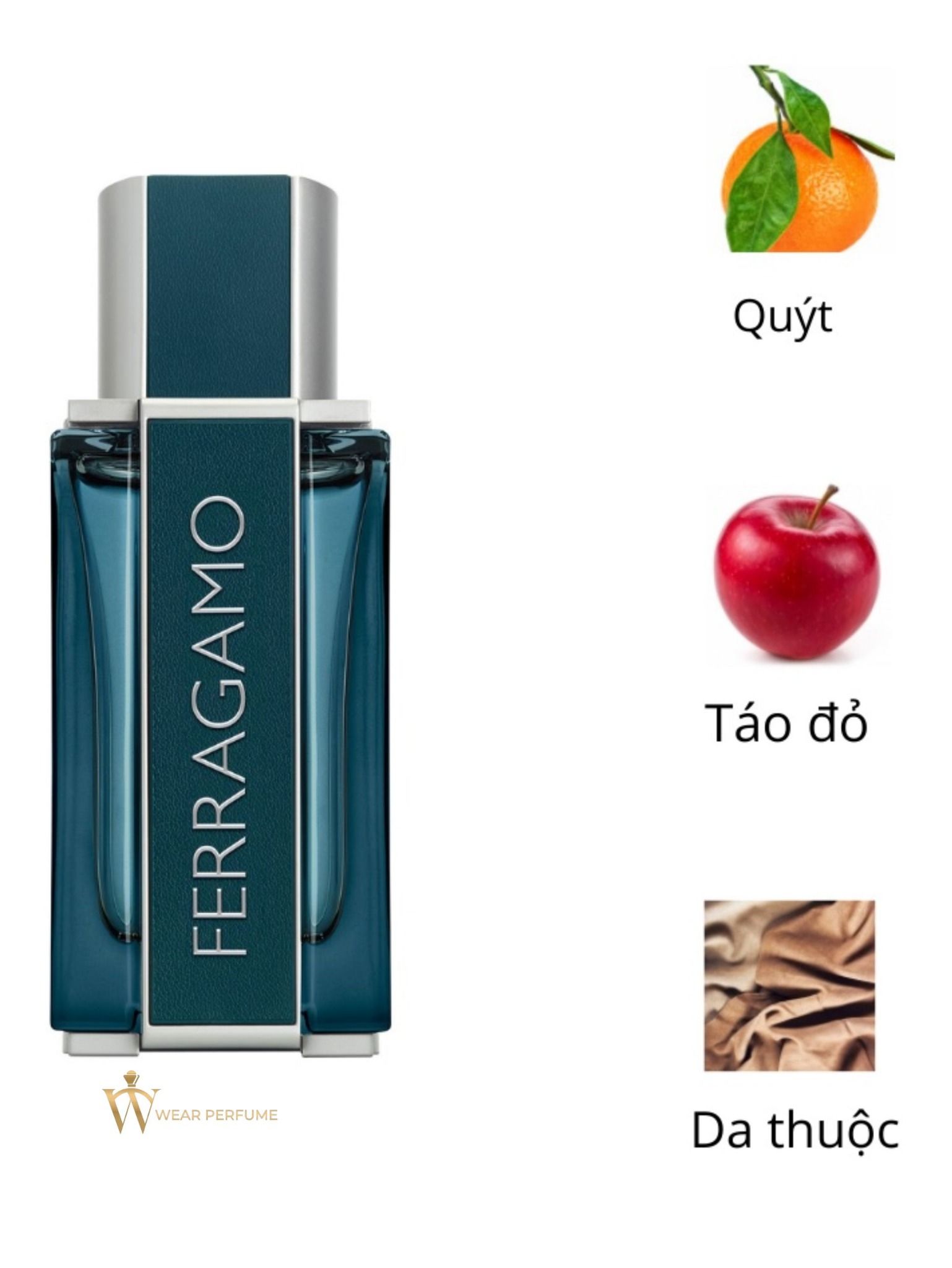  Salvatore Ferragamo Intense Leather Men 