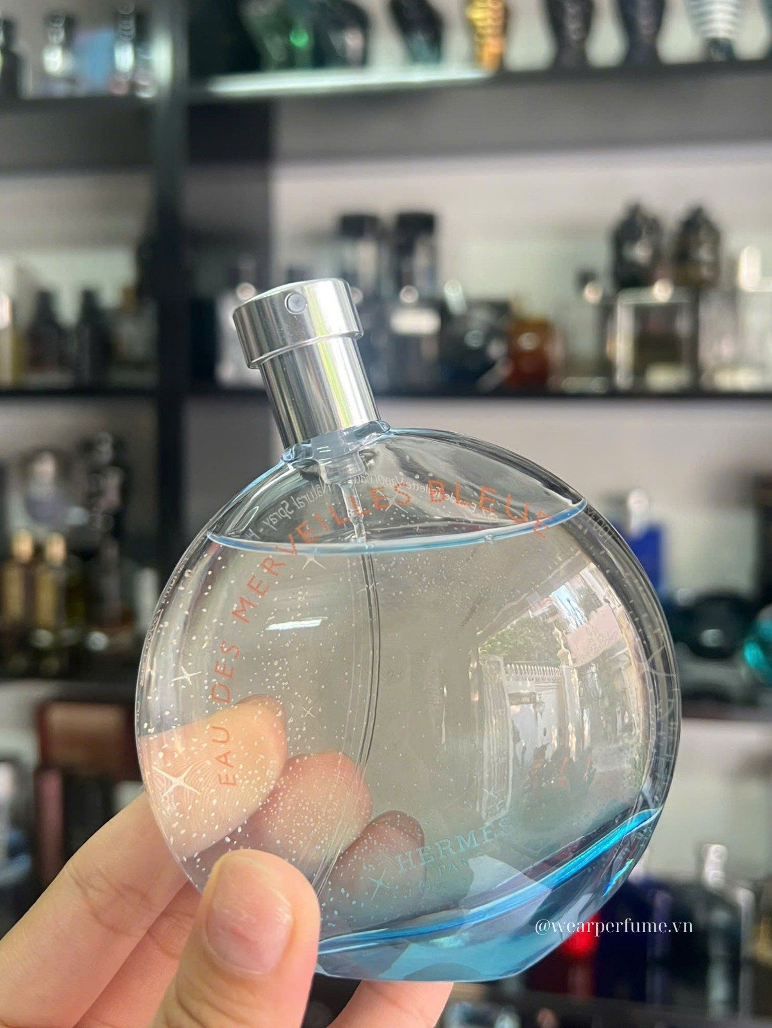  Hermes Eau Des Merveilles Bleue EDT 