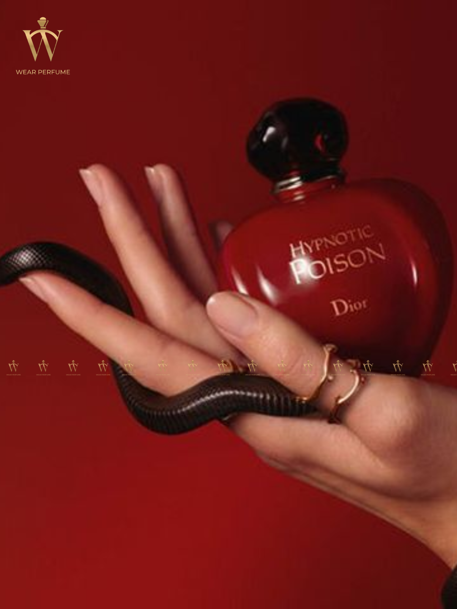  Dior Hypnotic Poison EDT 