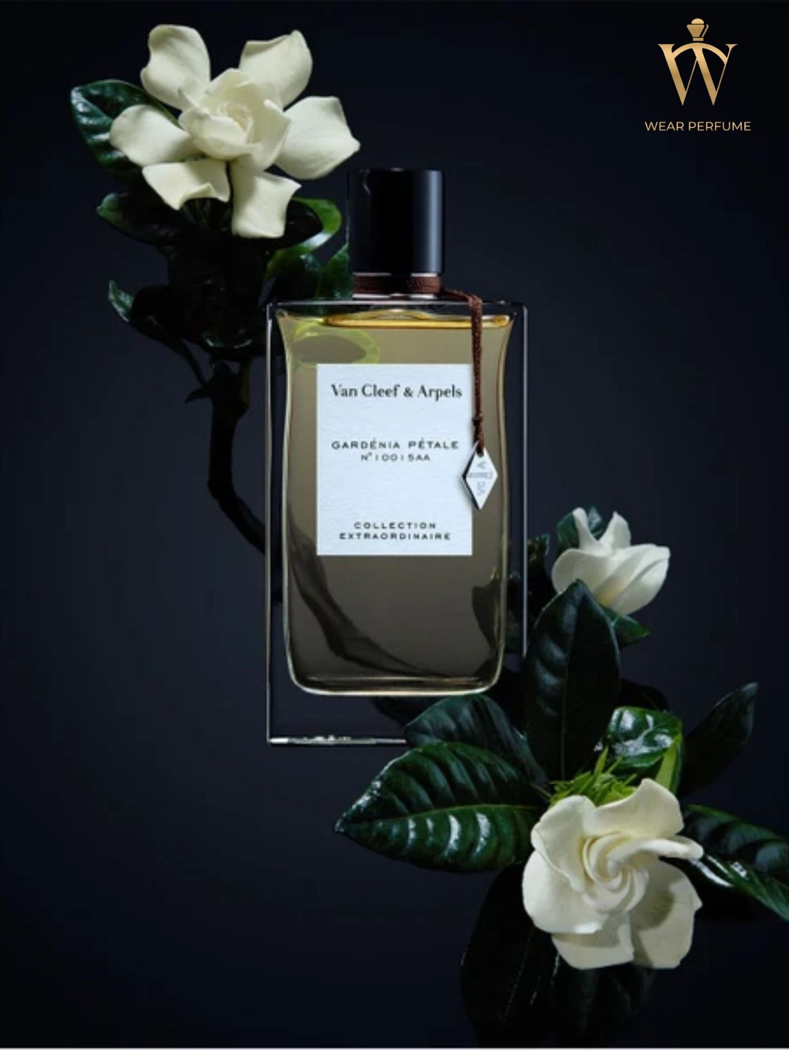  Van Cleef & Arpels Gardénia Pétale Collection Extraordinaire EDP 
