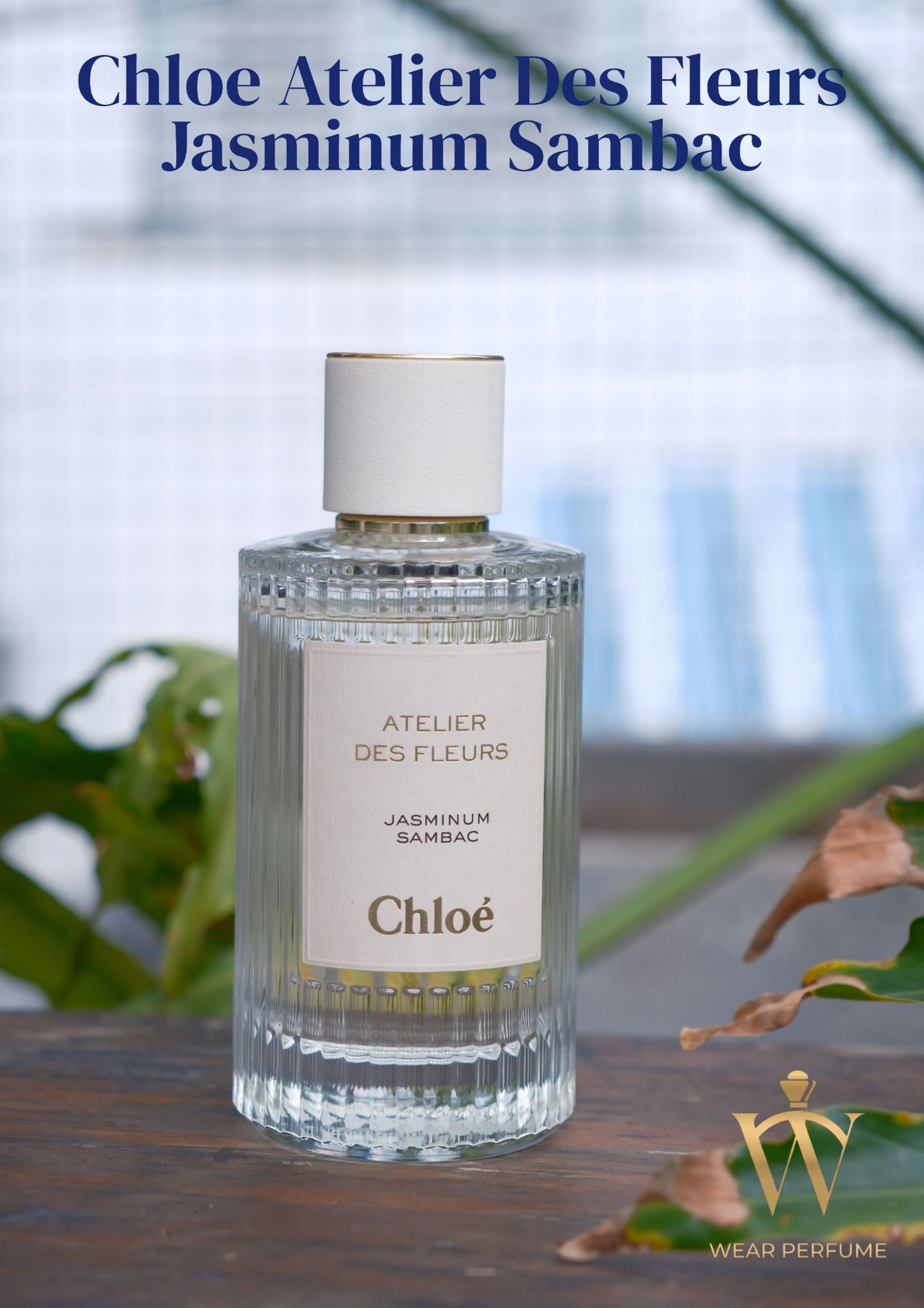  Chloe Atelier Des Fleurs Jasminum Sambac 