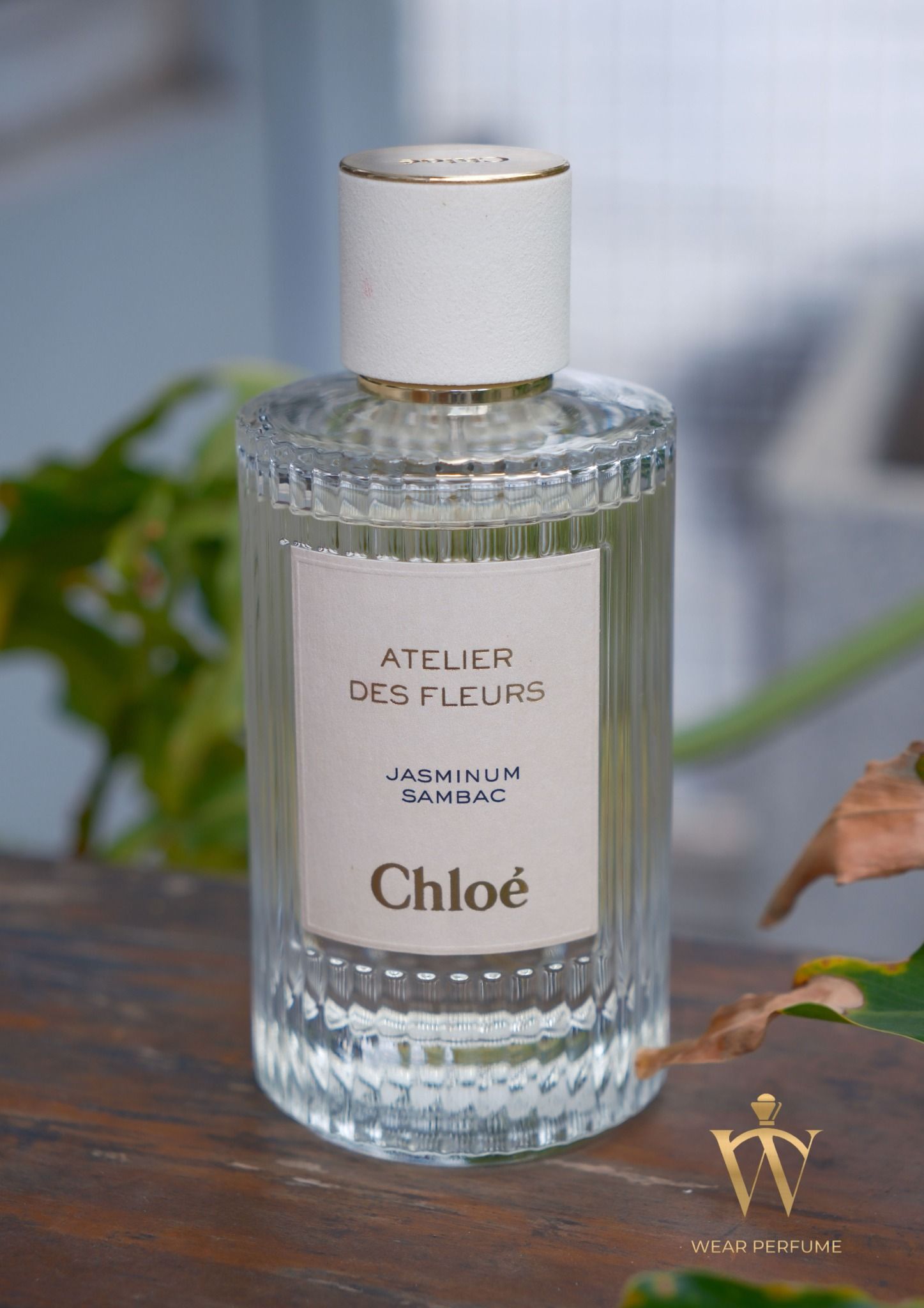  Chloe Atelier Des Fleurs Jasminum Sambac 