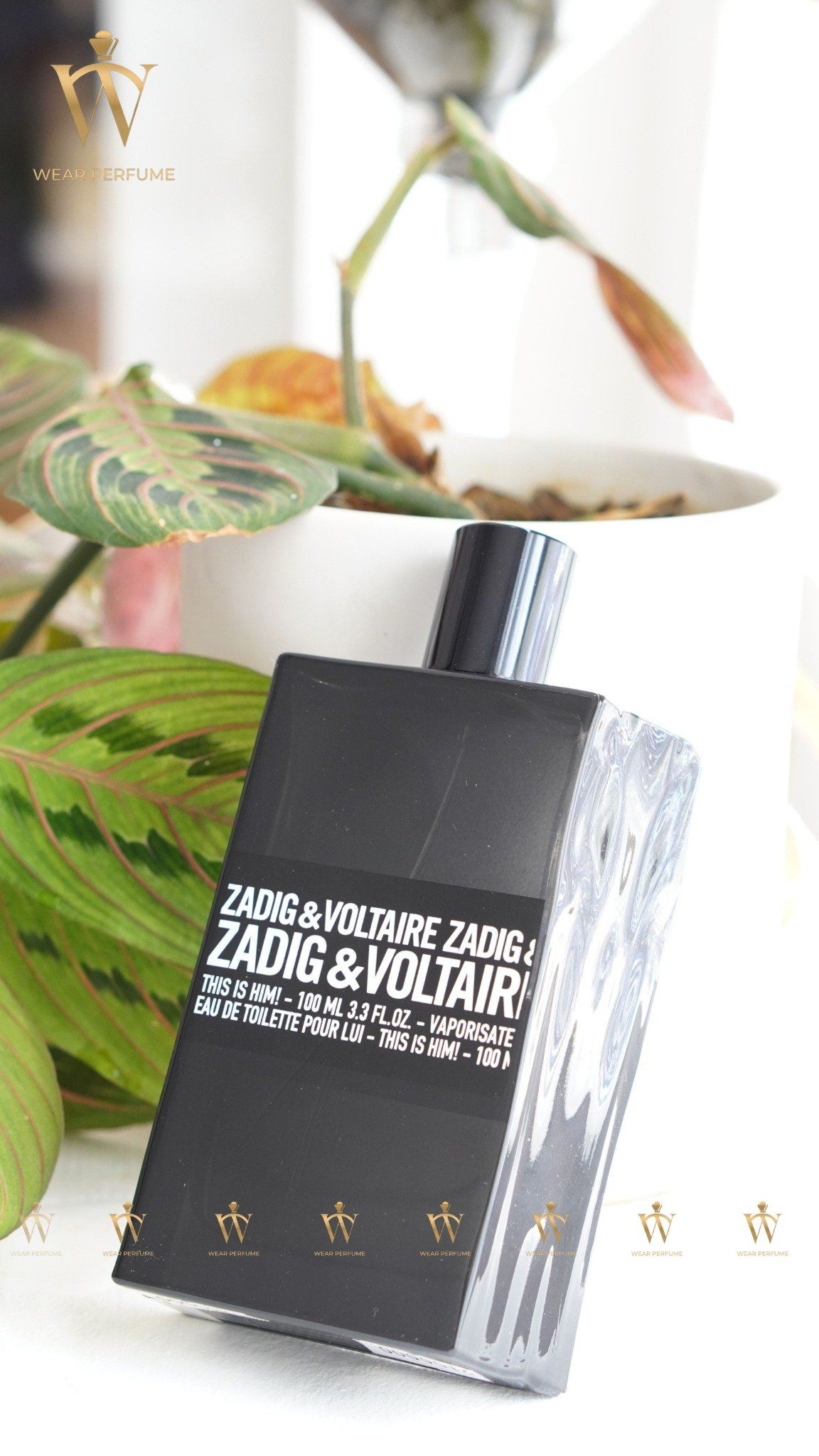  Zadig & Voltaire This is him EDT 