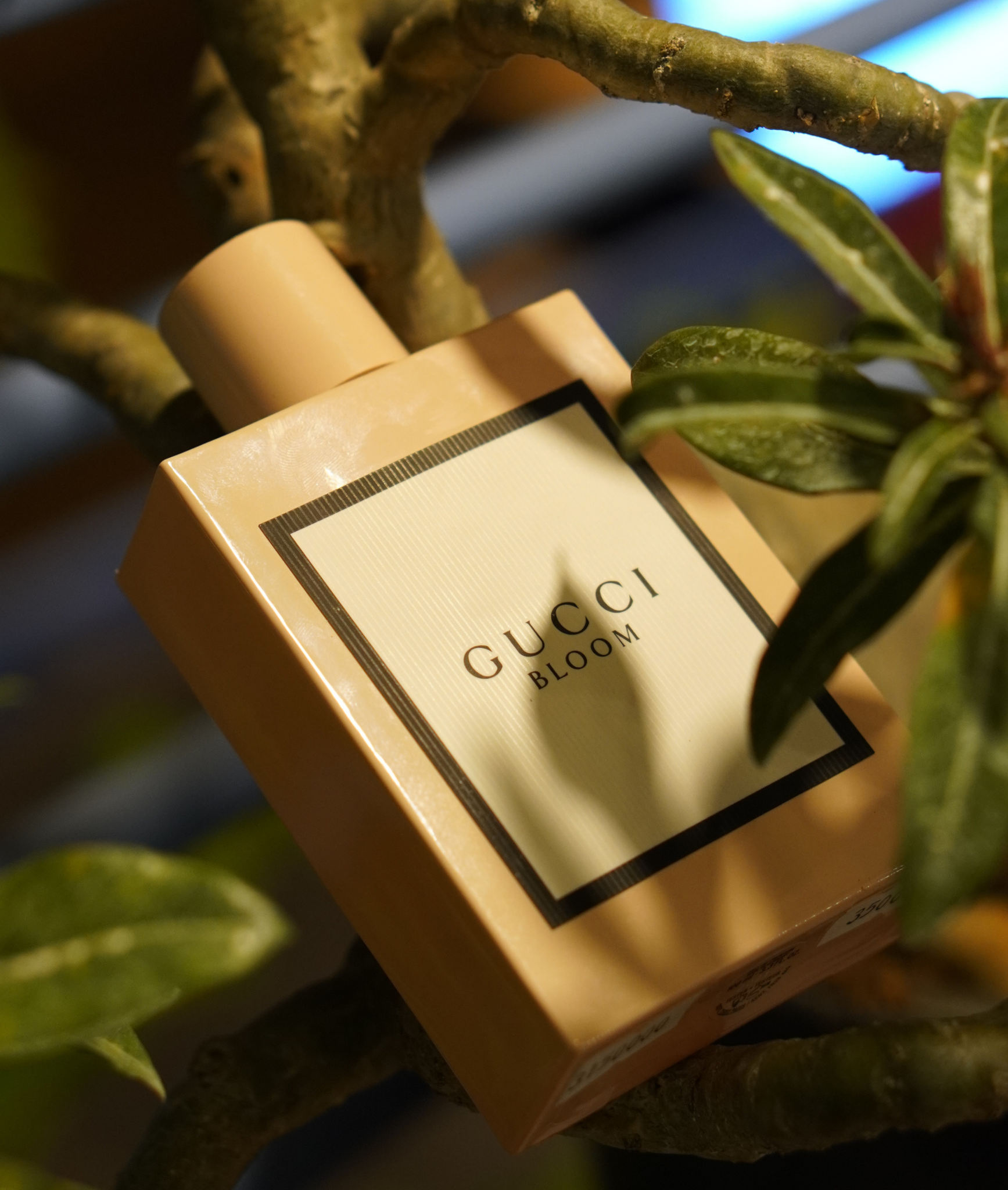  Gucci Bloom EDP 