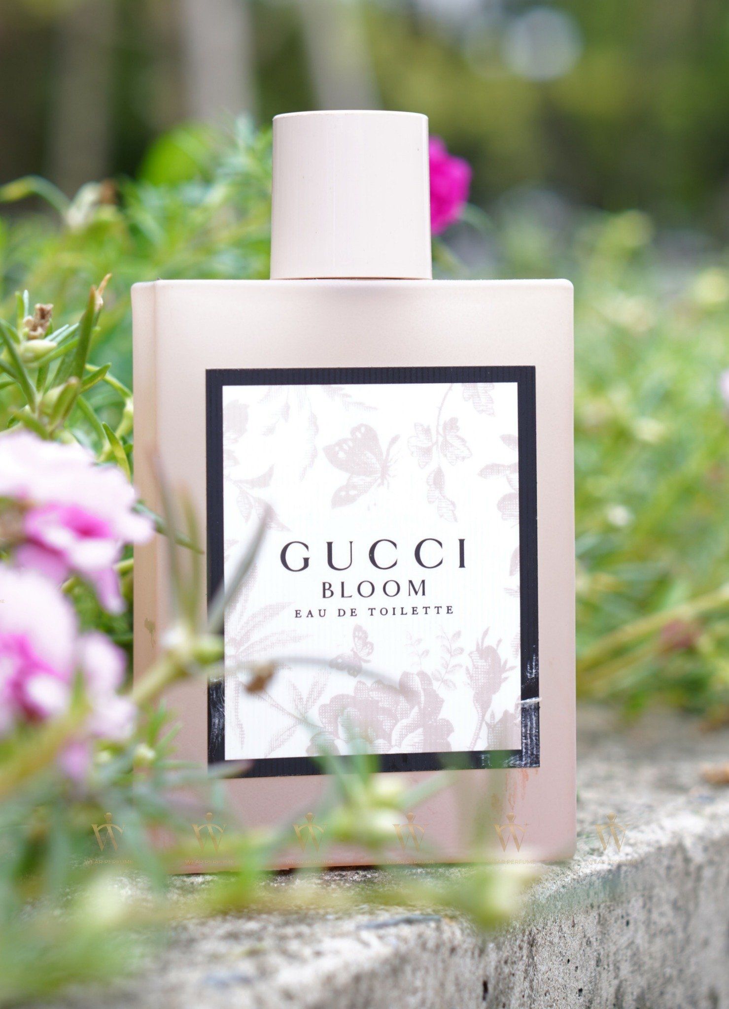  Gucci Bloom EDT 