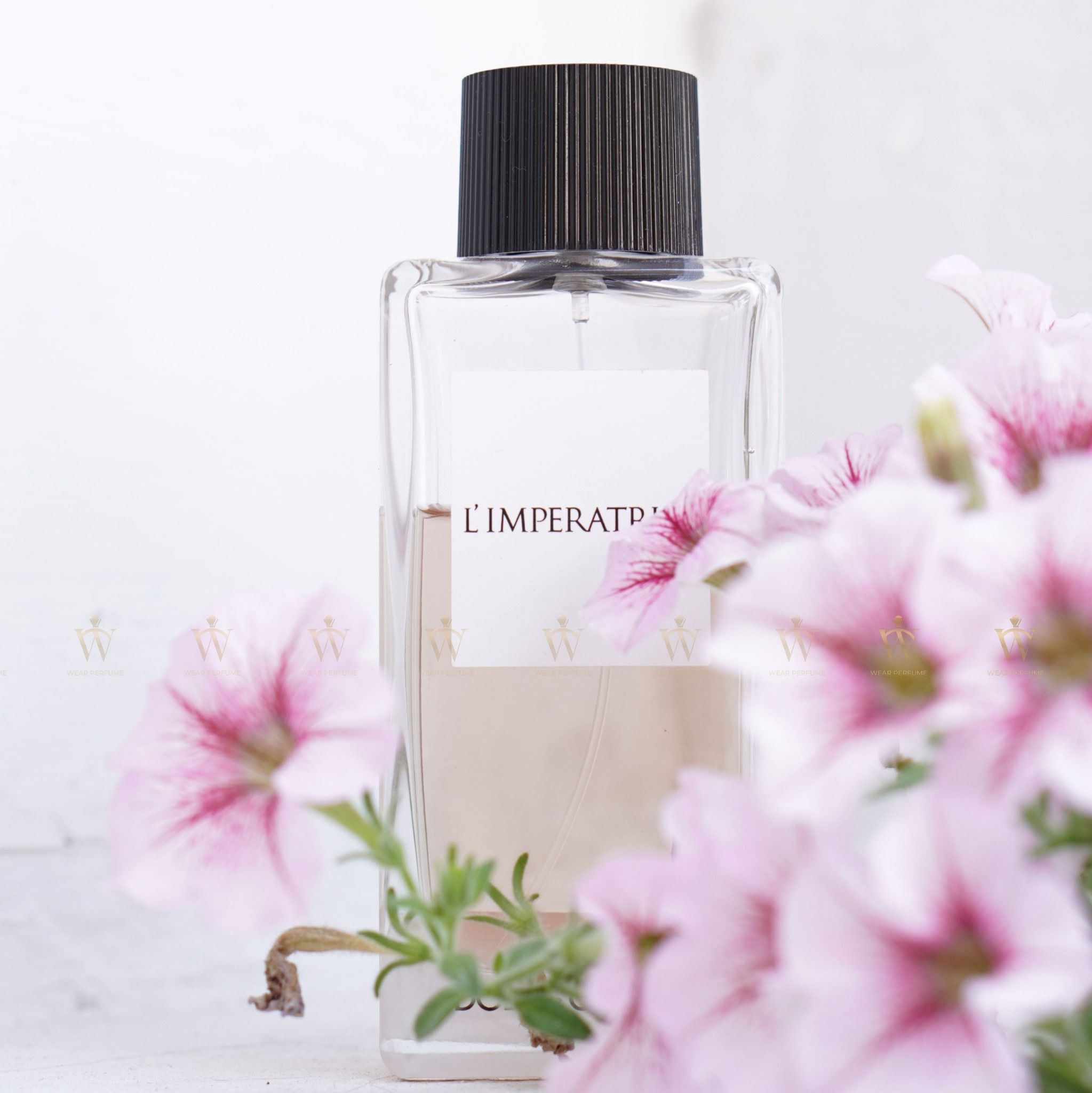  Dolce & Gabbana L'imperatrice EDT 