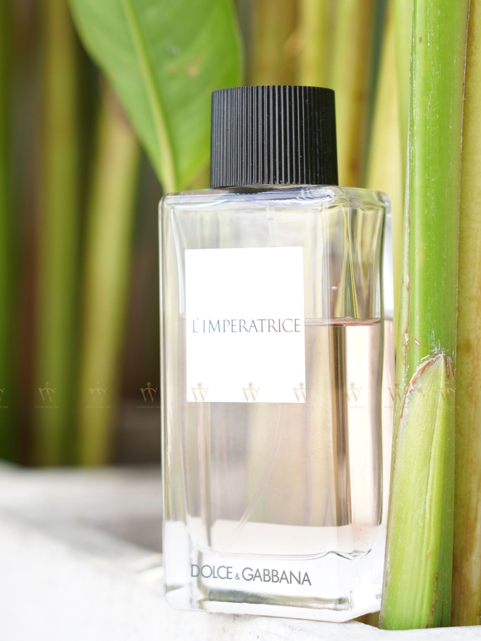 Dolce & Gabbana L'imperatrice EDT 