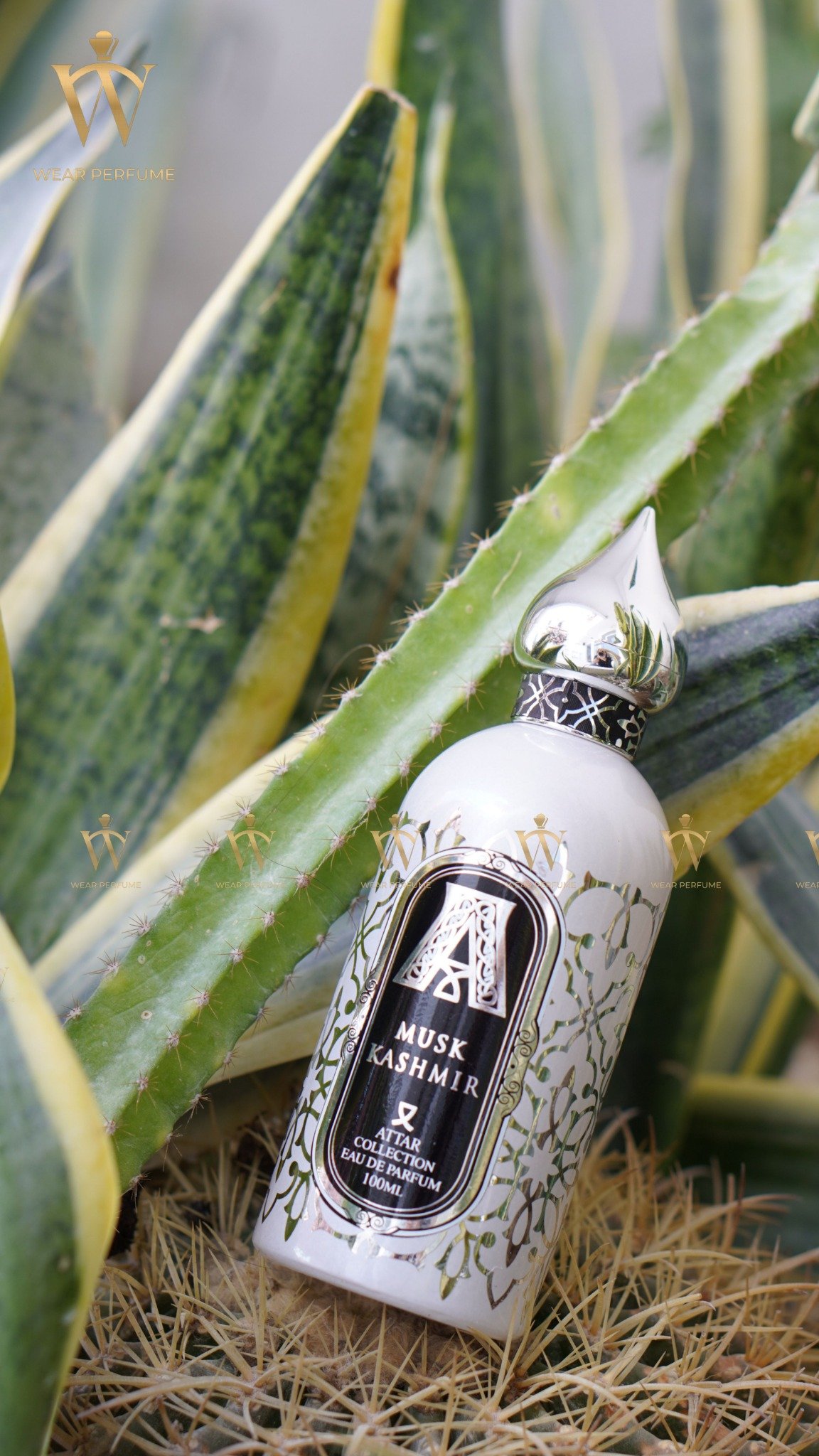 Attar Collection Musk Kashmir EDP – wearperfume