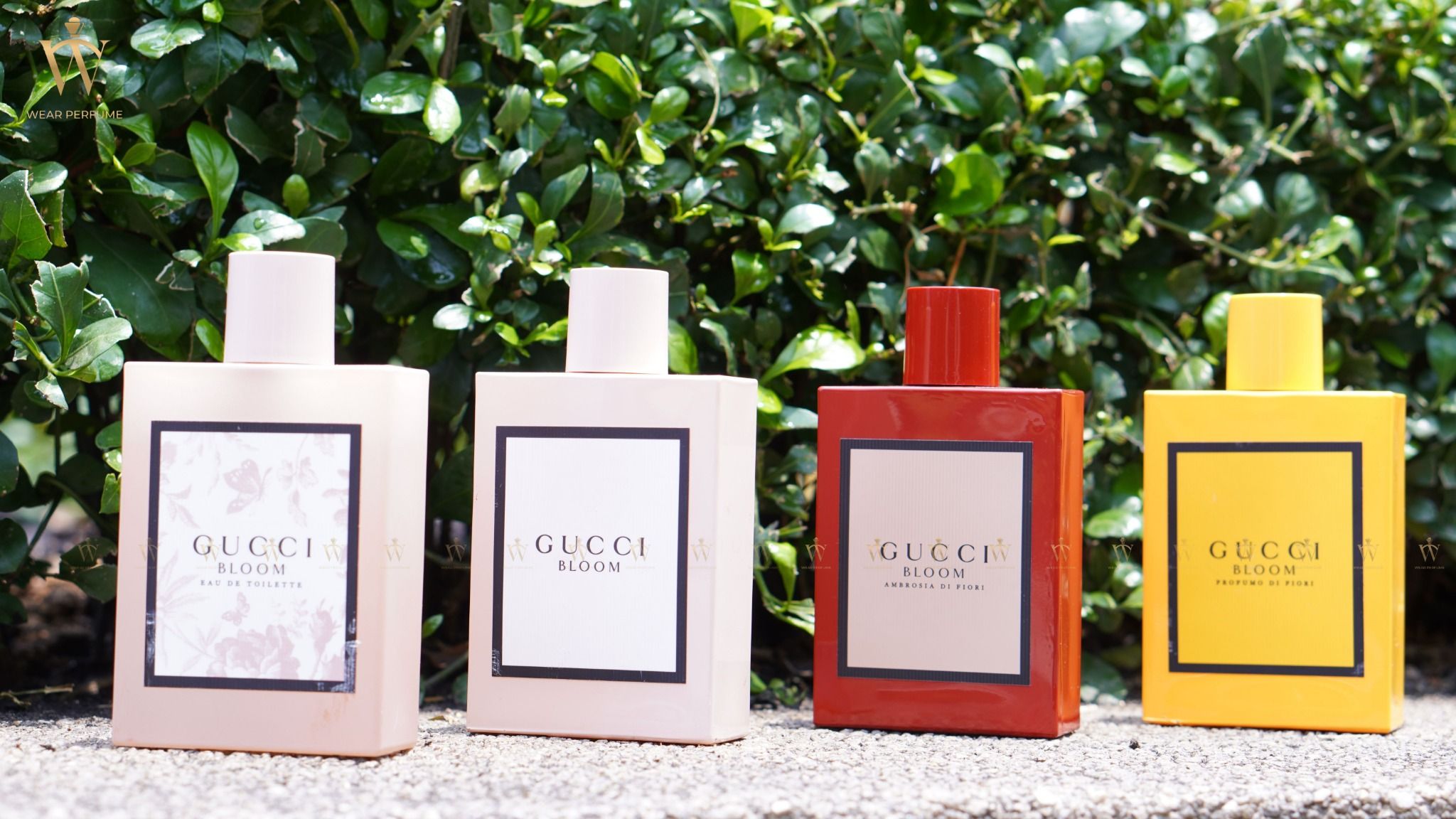  Gucci Bloom Profumo Di Fiori 