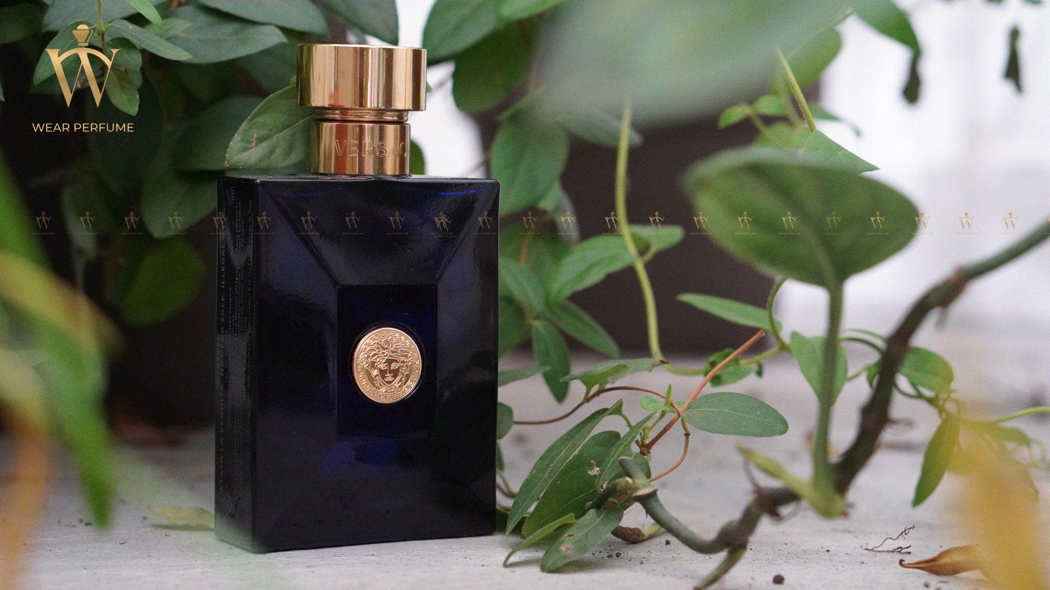  Versace Pour Homme Dylan Blue 