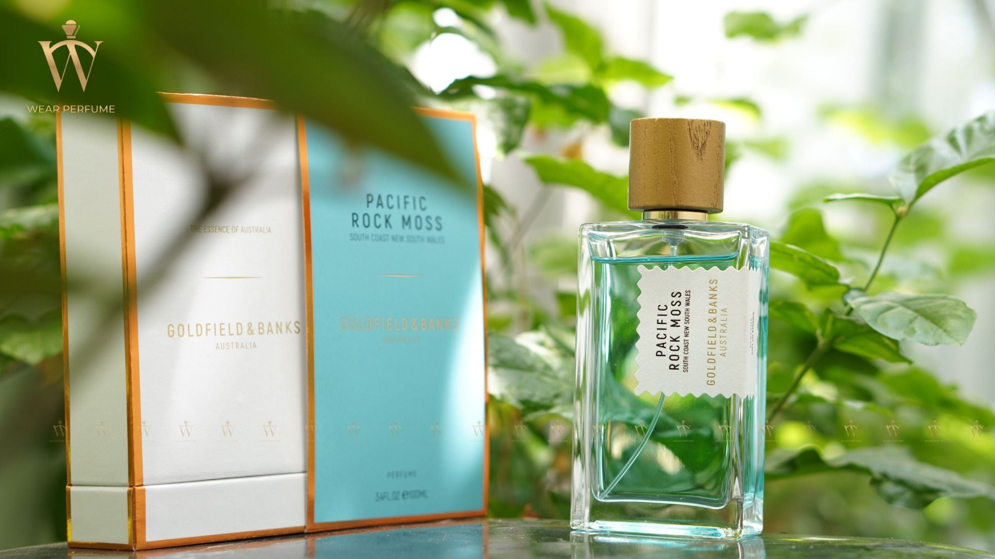  Pacific Rock Moss Goldfield & Banks Australia 