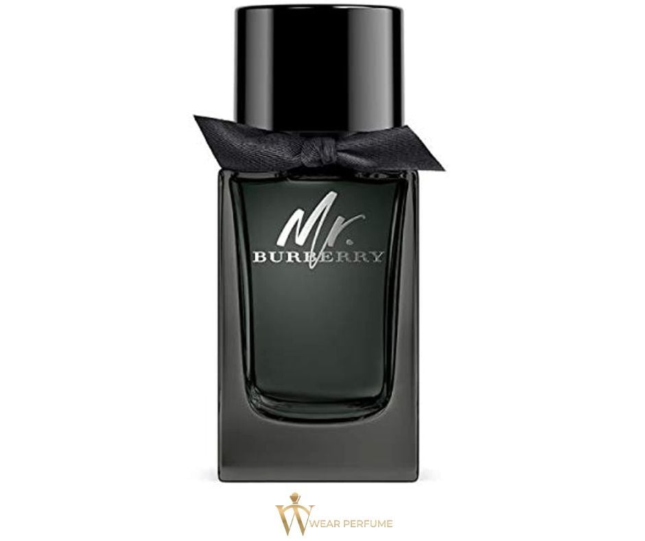  Mr Burberry EDP 