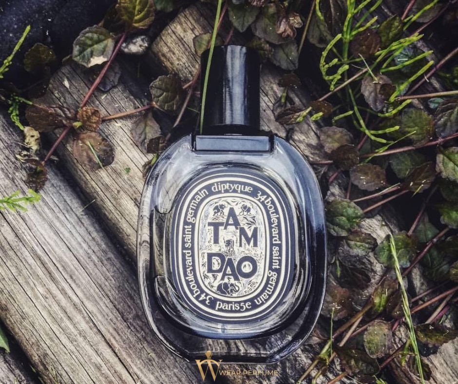  Diptyque Tam Dao EDP 