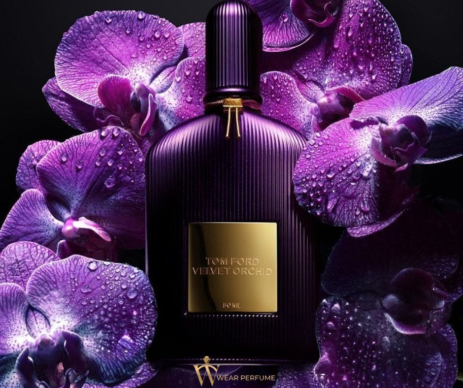  Tom Ford Velvet Orchid EDP 