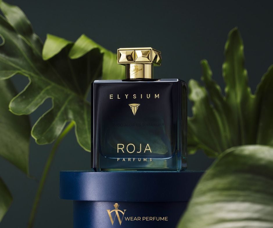  Roja Parfums Elysium Pour Homme Parfum Cologne 