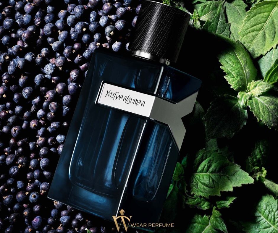  Yves Saint Laurent Y EDP Intense 