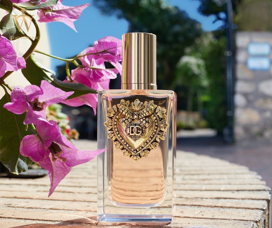 Dolce & Gabbana Devotion 