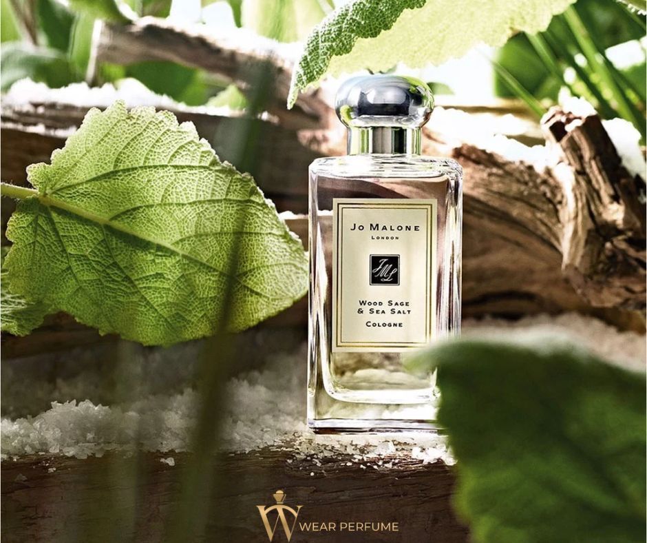  Jo Malone London Wood Sage & Sea Salt Cologne 