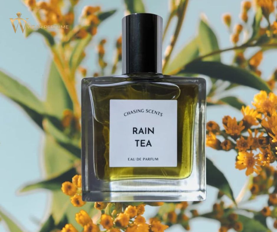  Chasing Scents Rain Tea 