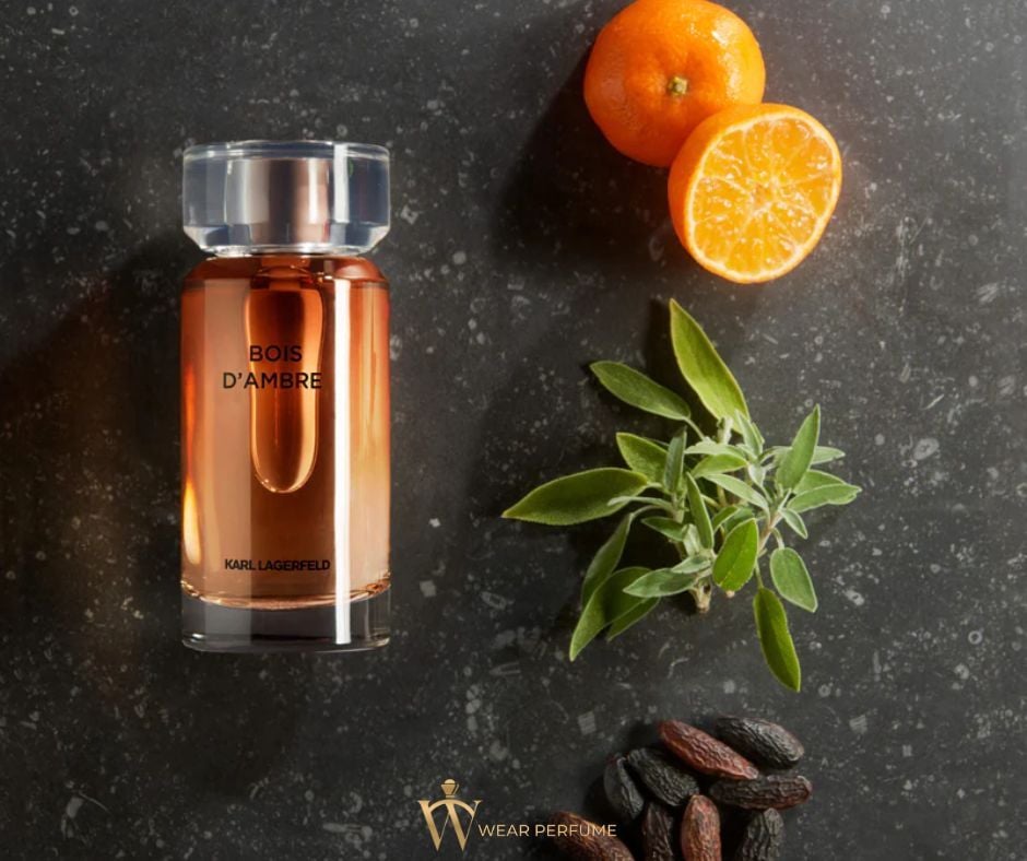  Karl Lagerfeld Bois D'Ambre EDT 