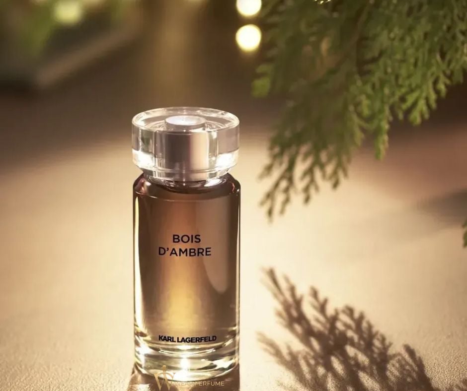  Karl Lagerfeld Bois D'Ambre EDT 