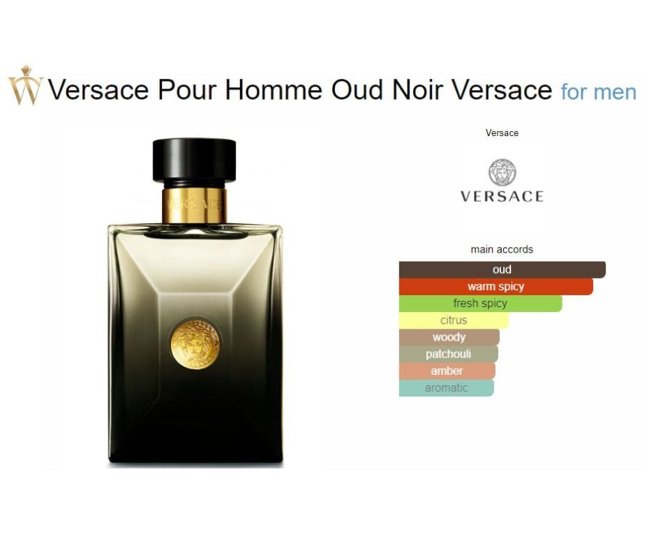  Versace Pour Homme Oud Noir 
