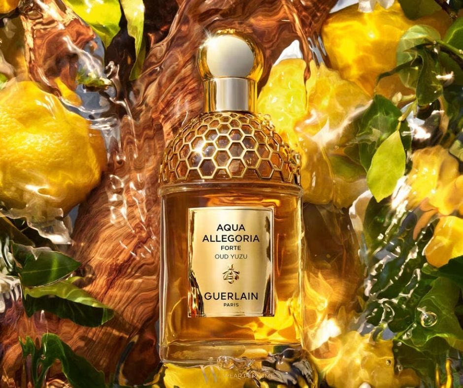  Guerlain Aqua Allegoria Forte Oud Yuzu 