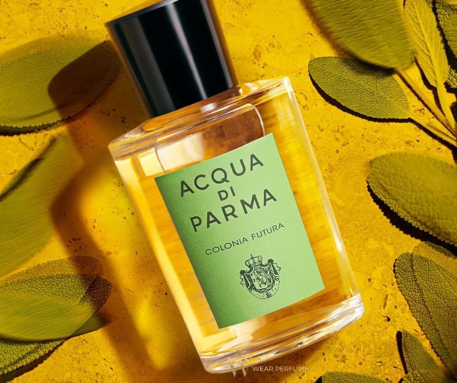  Acqua Di Parma Colonia Futura 