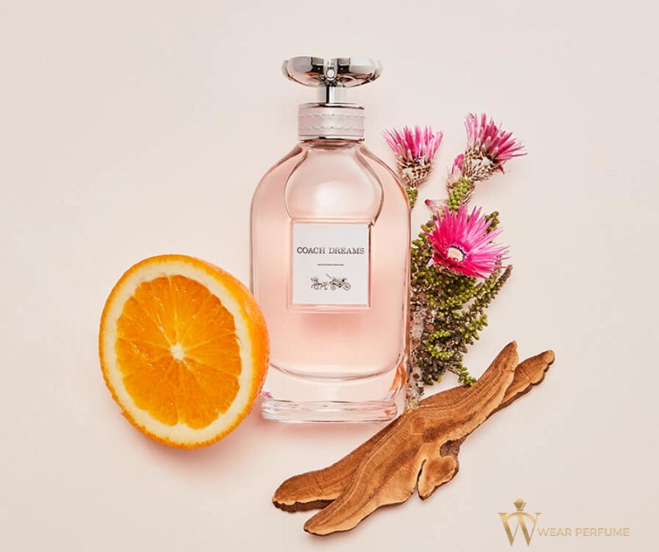  Coach Dreams EDP For Women 90ML 