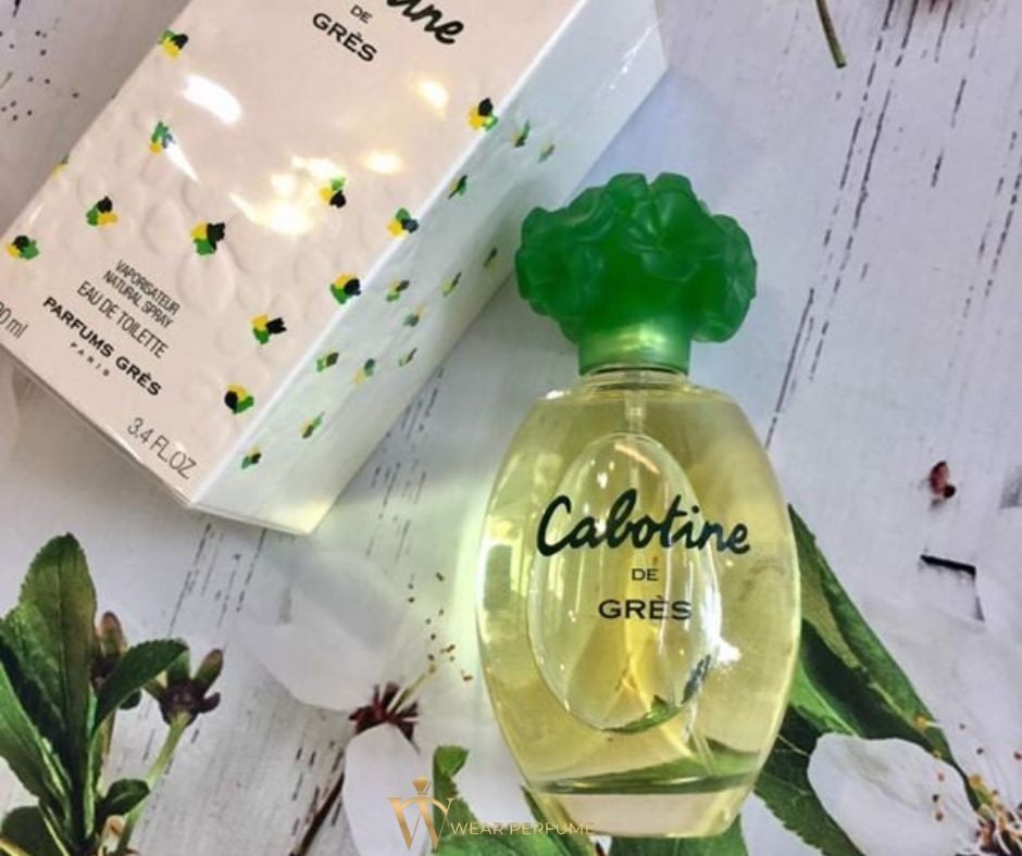  Nước Hoa Grès Cabotine EDT 100 ML 
