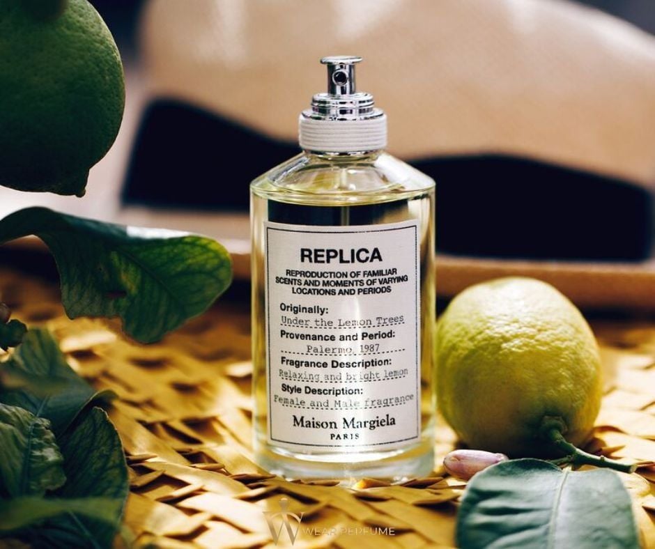  Maison Margiela Replica Under The Lemon Trees 