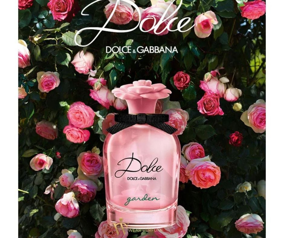  Dolce & Gabbana Dolce Lily 75ML 