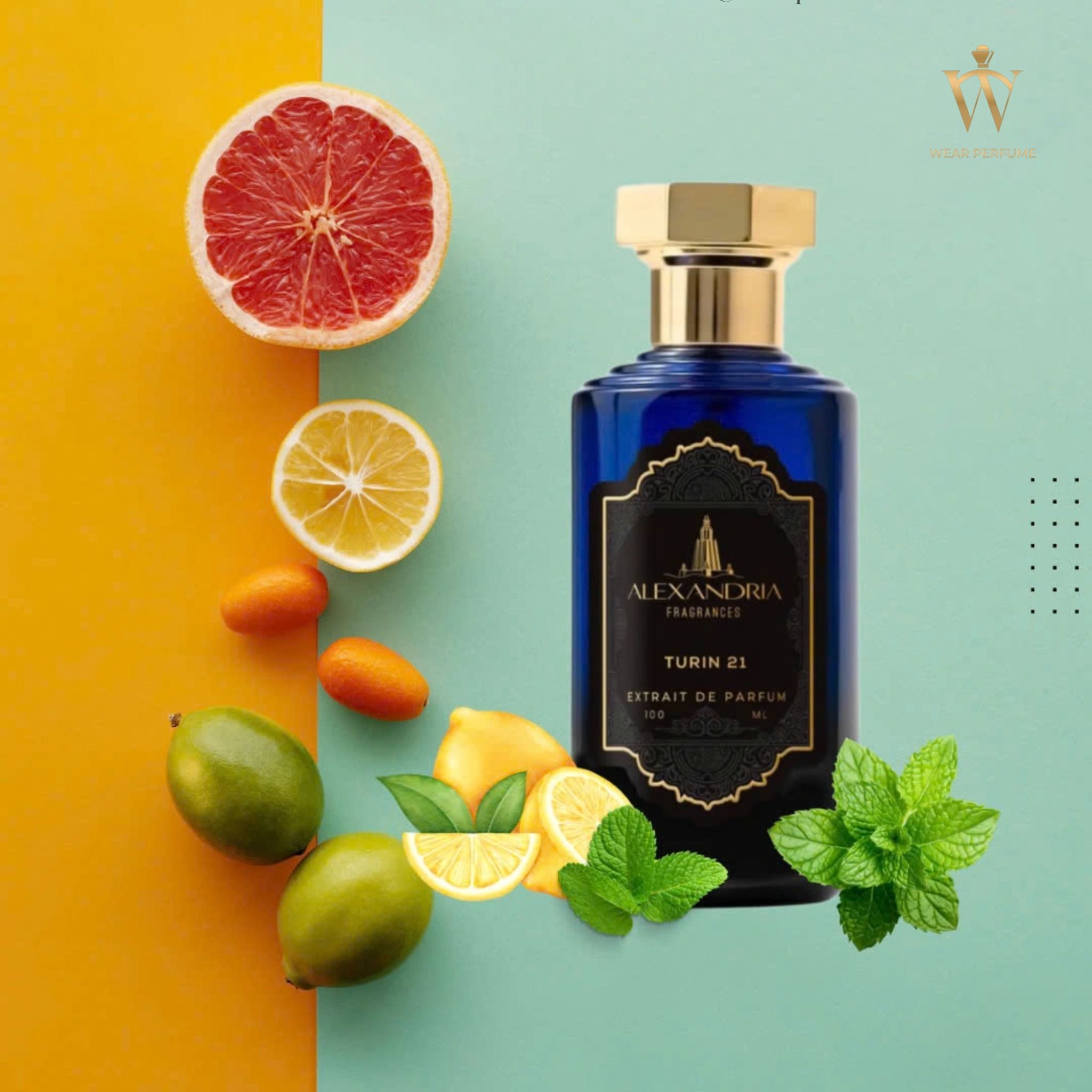  Alexandria Fragrances Turin 21 