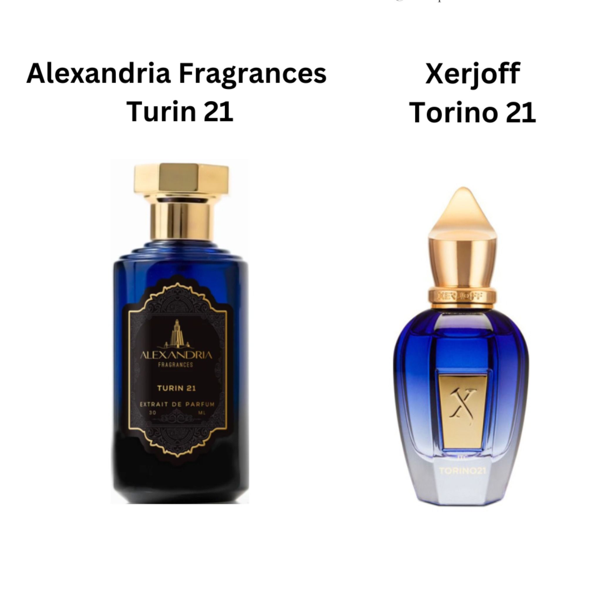  Alexandria Fragrances Turin 21 