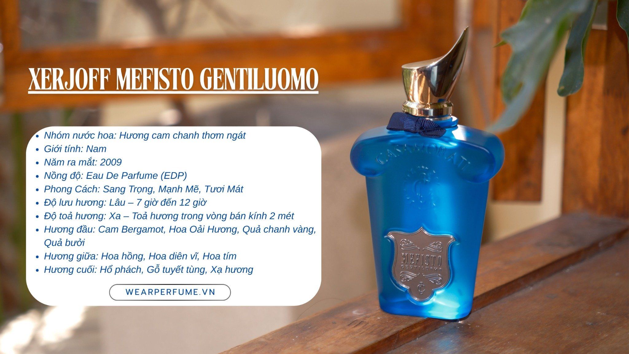  Xerjoff Mefisto Gentiluomo 