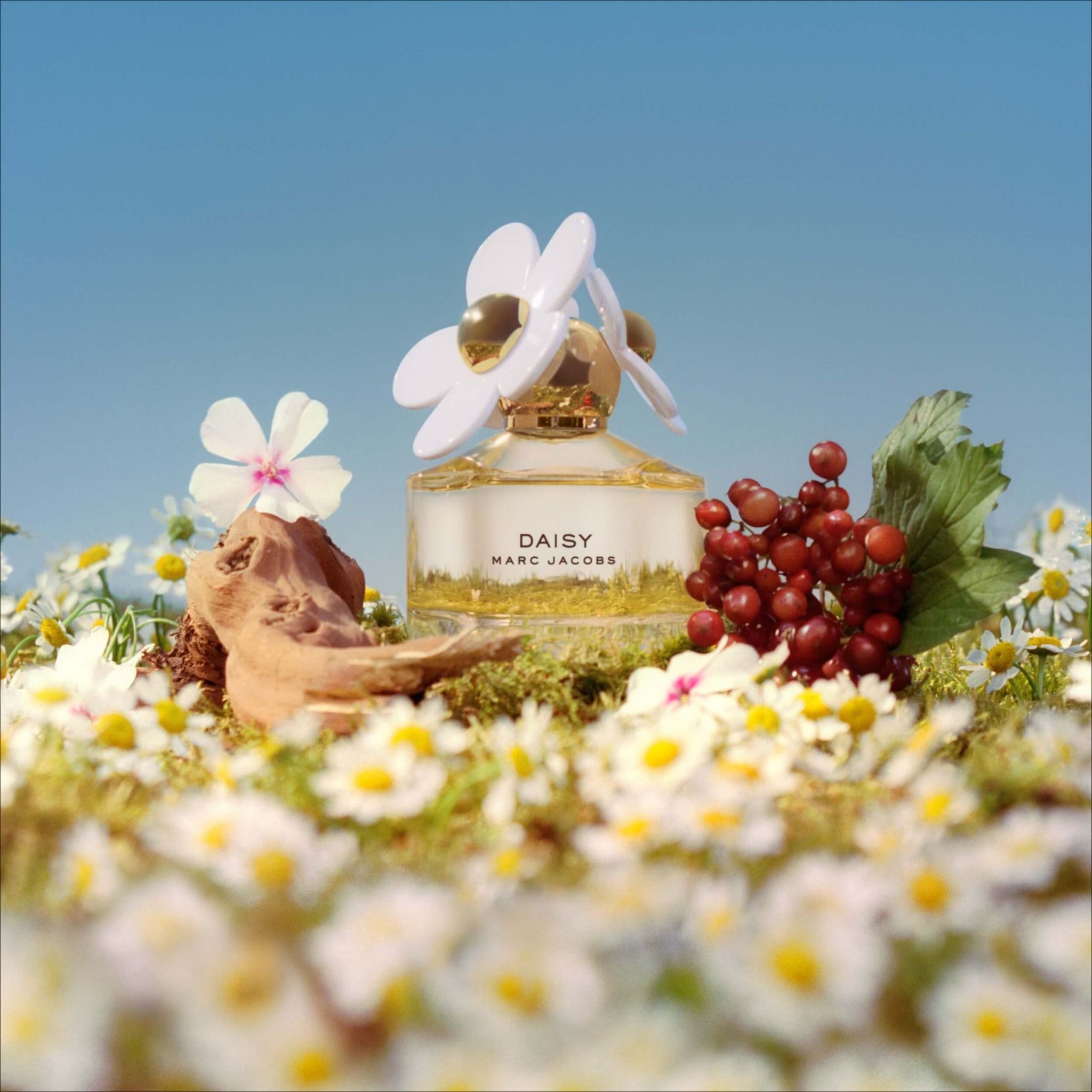  Marc Jacobs Daisy EDT 