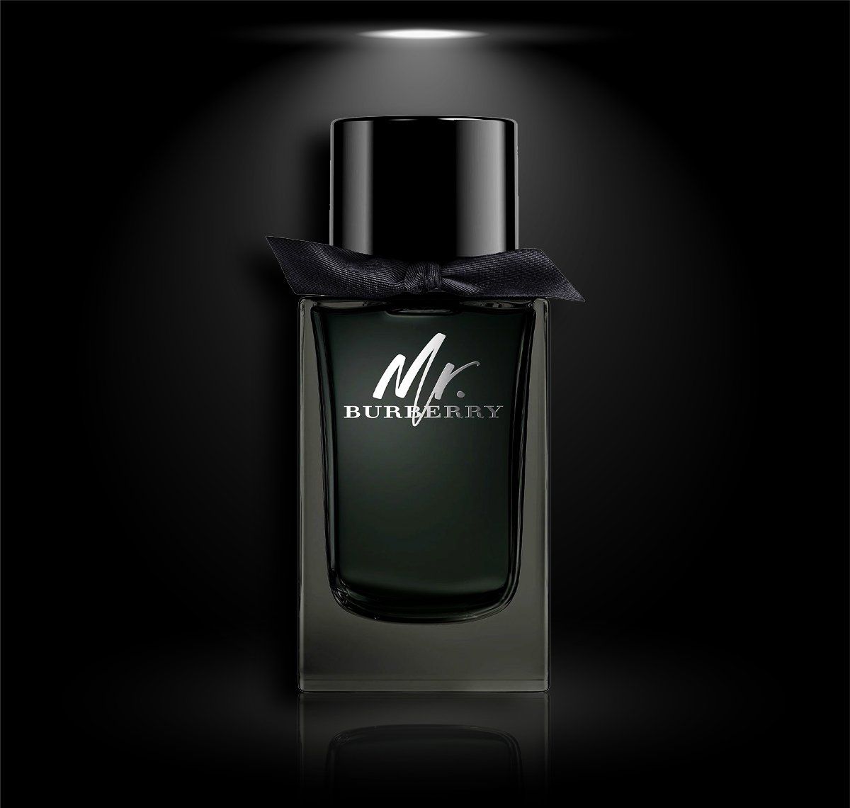  Mr Burberry EDP 