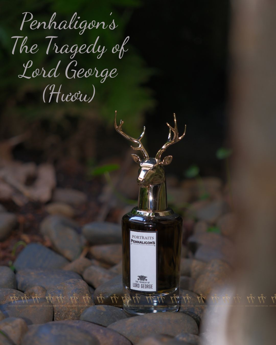  Penhaligon’s The Tragedy of Lord George (Hươu) 