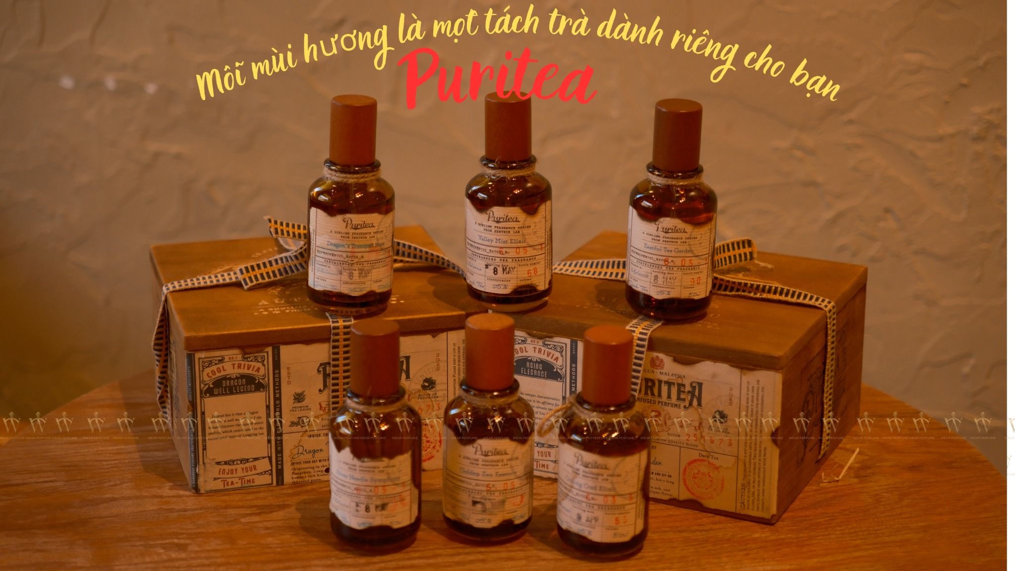  Puritea Dragon’s Tranquil Brew (Green Tea) 