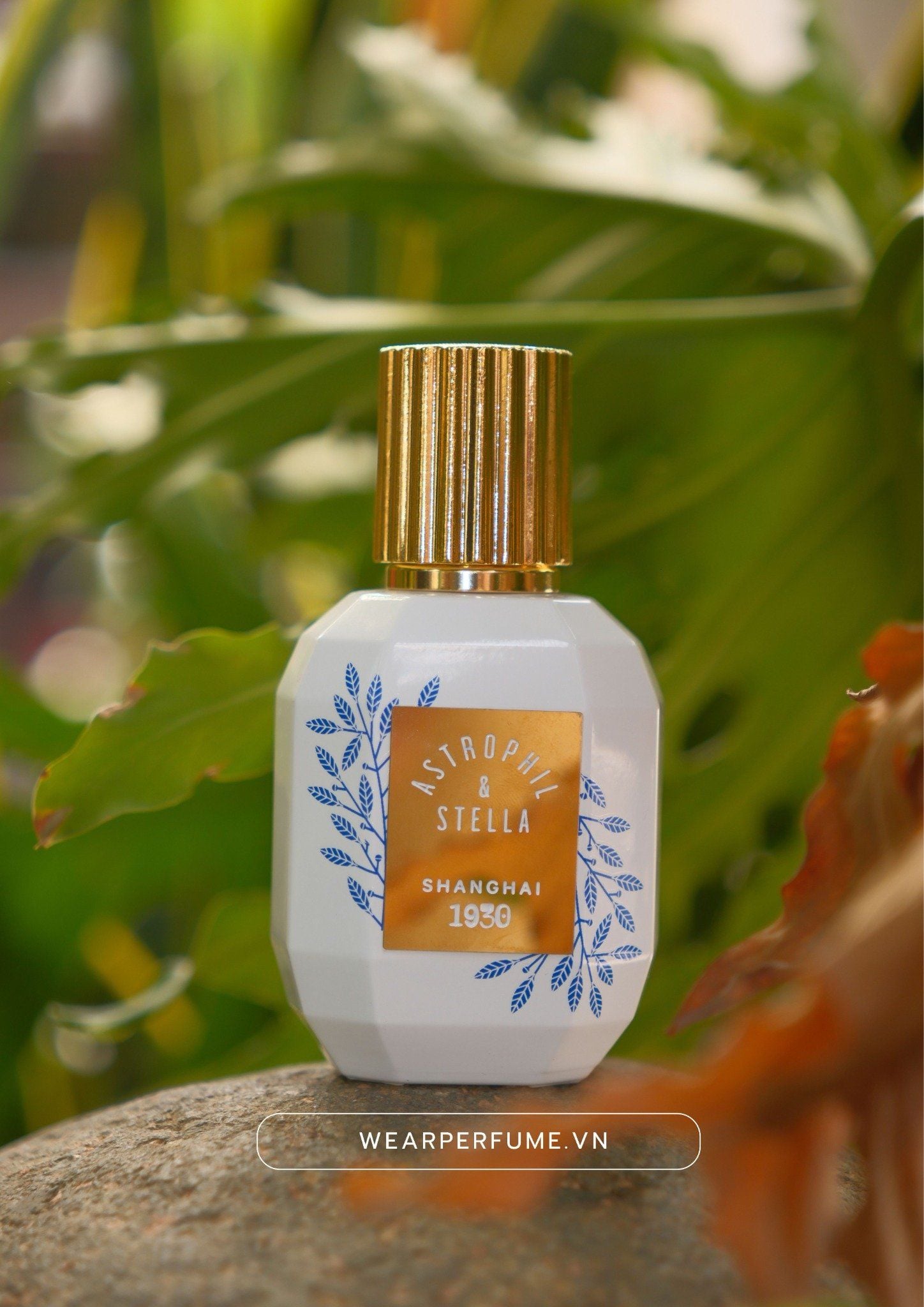  Astrophil & Stella Shanghai 1930 
