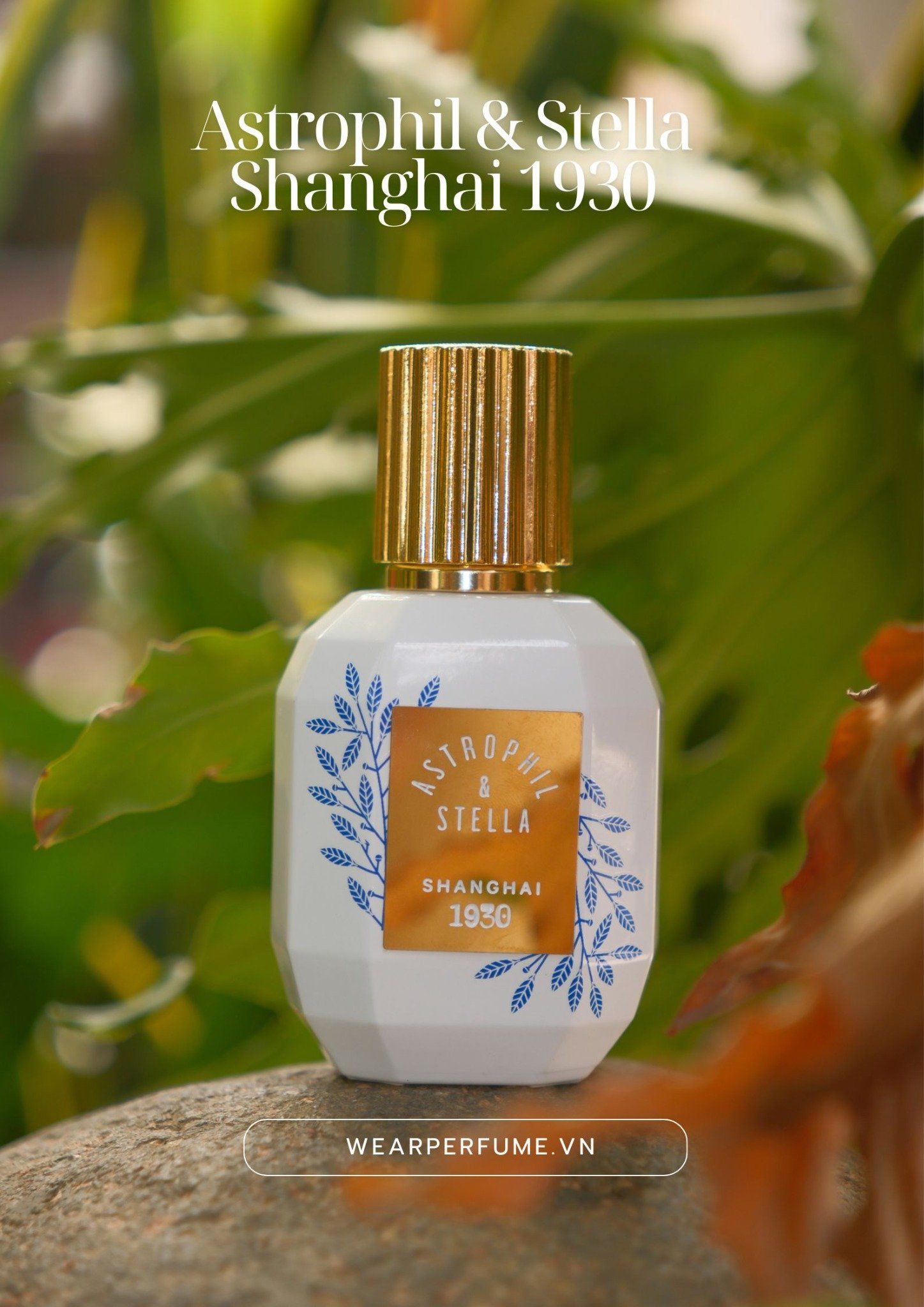  Astrophil & Stella Shanghai 1930 